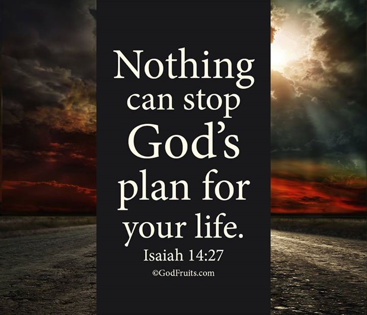Nothing-can-stop-Gods-plan
